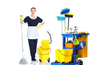 兩萬元創(chuàng)業(yè)路 從零打造互聯(lián)網(wǎng)家政保潔服務(wù)